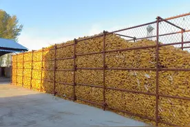 关注粮食浪费丨如何堵住主粮损耗漏洞？图片