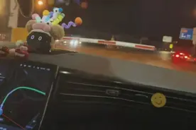 春节高速免费最后时刻，有人“卡点失败”被收全程费图片