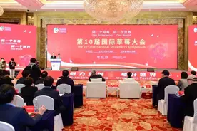 交流研讨共绘“莓”好蓝图，这场“草莓界的奥运会”在盐城盐都举行图片