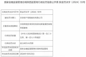 永安财产保险被罚45万元：未按照规定使用经批准或者备案的保险条款费率图片