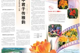 人民日报关注吉林：花中君子传雅韵图片