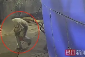 穿着工装还鬼鬼祟祟？两男子盗窃前东家，被警方刑事拘留图片