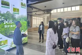 澳大利亚华裔青年“揽”琼岛：尽享海南“湿”情画意图片