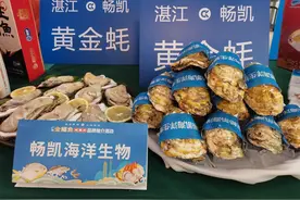 现代化海洋牧场加持，广东争办“蚝”门盛宴图片