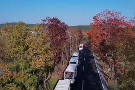 开园一周年  快来徐州园博园邂逅别致秋景图片