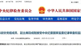 通报！段成刚被查！图片
