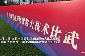 果然视频丨排味管、弹射器……山东搜救犬训练也有“黑科技”图片
