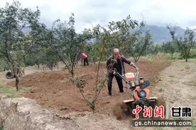 中央媒体看甘肃｜陇南武都：扎实推进耕地流出图斑整改 守牢粮食安全底线图片