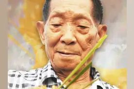 风吹过稻田，我又想您了！袁隆平院士诞辰94周年，再听听袁爷爷的声音，缅怀！图片