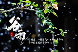 谷雨 | 谷雨暮春 万物生长图片