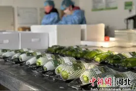 张家口涿鹿：果蔬畅销京津市场图片