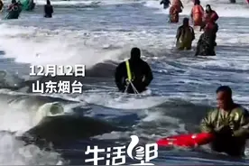 大海真是太眷顾烟台了！海边再现大量海肠 市民争相赶海捕捞实现“海肠自由”图片