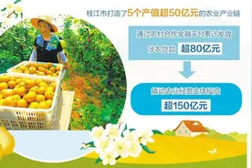 湖北枝江开展“整村授信”改革 金融助力乡村产业兴旺图片