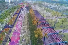 快收藏！沪上宝藏跑步路线，交通攻略请查收！图片