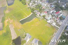 油菜花海正美，滨洲新村上演“变形记”，变化怎么来的？图片