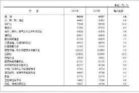 2023年平均工资出炉！这个行业最赚钱图片