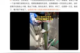 男子海钓 鱼身上卡着一个镯子 网友：赚大发了！图片