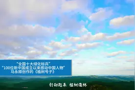 停止商业性伐木10年，兴安岭的新林人过得怎么样？图片