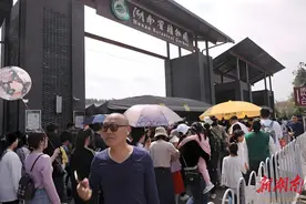 让“花经济”四季常开图片
