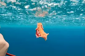 控糖减脂餐：地中海烤鸡胸温沙拉图片
