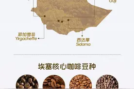 还可以“现买现烘”，埃塞俄比亚咖啡生豆上架天猫国际图片