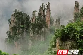峰起张家界 云上天子山图片