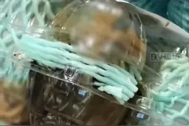 头皮发麻，活生生不断蠕动！监管部门已介入图片