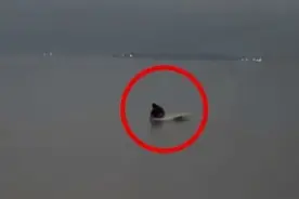 揪心！男孩仅靠一块泡沫板在海上漂流……图片