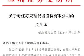 V观财报｜天瑞仪器收函：终止向特定对象发行股份是否违约？图片