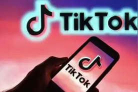 专家解读|梳理TikTok剥离法案，未来诉讼“突围”空间有多大图片