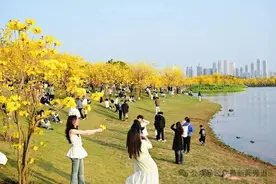 气温直冲30℃！广西天气28日后大反转，新一股冷空气要来图片
