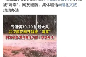 武汉樱花刚开就被大风“清零”？以讹传讹，花期可至4月中旬图片