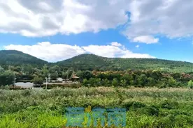 天气周报｜本周济南气温逐步回升最高可达29℃，月底或迎断崖式大降温图片