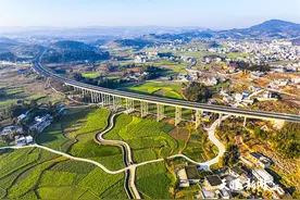 春日寻芳多彩贵州 | 黔西油菜花开景如画图片