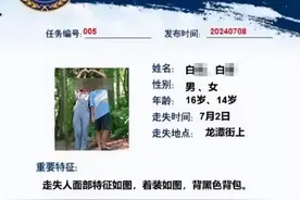 重庆16岁男孩带14岁妹妹离家出走10天 救援队：人已找到，被接回家图片