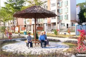 全国首个侨联委员工作室，为何落户这里？图片