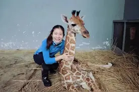 00后女孩剑桥毕业当动物园饲养员，网友吵翻！父母这样说……图片