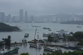 福建解除防台风应急响应，沿海各港口码头已恢复正常作业图片