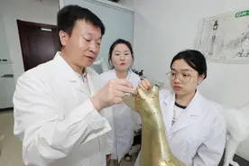 北京农学院中兽医专业教师研发“针灸铜犬”图片