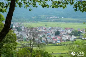 江西莲花：农旅融合助力乡村振兴图片