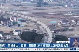 新设金山、奉贤、四团站 沪乍杭高铁上海段选线公示视频封面