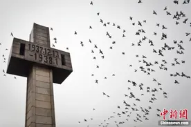 第十个国家公祭日，他们有话要说……图片