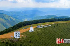 布谷｜中国绿——塞罕坝造林记图片