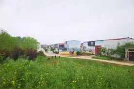 记者在一线 | 漯河：“一街一景”皆亮点 美丽乡村入画来图片