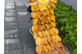 40万网友围观，家长纷纷求教程，杭州妈妈给孩子做的手工落叶套装火了图片