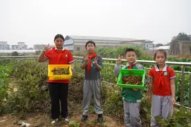 毛豆、红薯成了运动会道具，快来围观这所小学的农耕趣味运动会图片