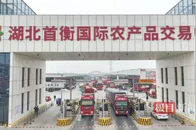 蔬菜交易火爆，孝感首衡城春日时令蔬菜大量上市占C位图片