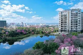 碧玉清溪 象往之地｜又到一城冬樱烂漫时图片