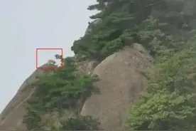 游客拍到珍稀云豹？专家：是大橘猫图片
