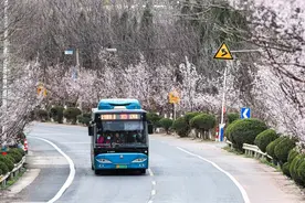 清明踏青游泉城 出行攻略您查收图片